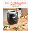VEVOR Electric Soup Warmer, 10QT Commercial Soup Kettle with 304 Stainless Steel Detachable Insert Pot, 95~176°F Adjustable Temperature, Soup Station for Restaurant and Big Family, Black