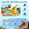 VEVOR Smart Bird Feeder with Camera, 2K HD AI Identify 10000+ Bird Species, Solar-Powered Bird Watching Camera with Auto Capture & Instant Notify, Wireless Outdoor Gift for Bird Lover (2 Solar Panels)