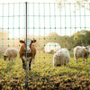 VEVOR Electric Fence Netting, 50" H x 164' L, Livestock Net Fencing with Posts & Stakes, Portable Mesh Nets for Goats, Sheep, Deer, Hogs, Dogs, Electric Fencing for Backyards, Gardens, Farms, Ranches
