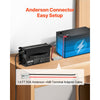 VEVOR 12V 40A Lithium Battery Charger, 14.6V, AC-DC LiFePO4 Smart Charger, with Anderson Connector, LED Indicator, 0V Activation, for Lithium LiFePO4 Deep Cycle Rechargeable Batteries of Boat, RV