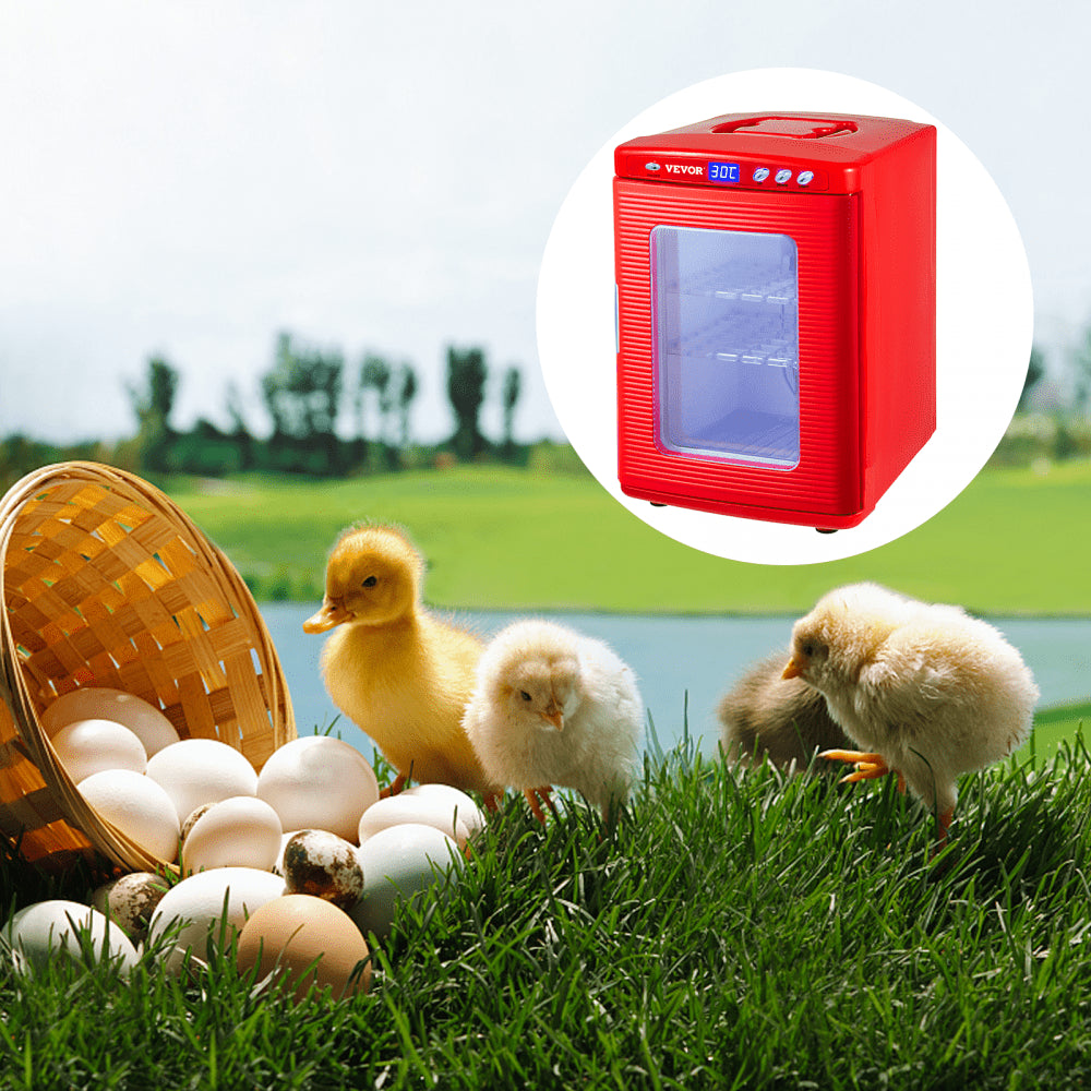 VEVOR Reptile Incubator 25L Digital Egg Incubator 5-42°C for Small Reptiles