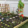 VEVOR Tomato Cages, 11.8\" x 11.8\" x 46.1\", 5 Packs Square Plant Support Cages, Silver PVC-Coated Steel Tomato Towers for Climbing Vegetables, Plants, Flowers, Fruits