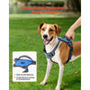 VEVOR Dog Harness for Large Dogs, No Pull Adjustable Dog Vest Pet Harness, with 5ft Leash, Handle, Metal Rings, Buckles, Reflective Stitching 600D Oxford Fabric, for Training, Walking, and Hiking