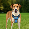 VEVOR Dog Harness for Large Dogs, No Pull Adjustable Dog Vest Pet Harness, with 5ft Leash, Handle, Metal Rings, Buckles, Reflective Stitching 600D Oxford Fabric, for Training, Walking, and Hiking