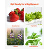 VEVOR Hydroponics Growing System Kit, 1-Tier 36 Sites UPVC Pipe Hydroponic Grow Kit with Timed Irrigation, Sun & Light Blocking Pipes, Indoor Home Garden Vegetable Planting Grow Kits for Fruit Herb