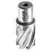 VEVOR Annular Cutter Set, 4 pcs Weldon Shank Mag Drill Bits Kit, 1" Cutting Depth, 1" Cutting Diameter, HSS, 2 Drill Bits with 2 Pilot Pins and Plastic Cases, for Magnetic Drills, Steel, Aluminum