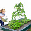 VEVOR Cucumber Trellis for Climbing Plants, 46" x 32" Foldable Cucumber Trellis Set with Plant Clips, Metal Garden Trellis for Raised Bed, Outdoor Plant Grow Support for Tomato, Squash, Vegetable