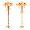 VEVOR 10PCS 43cm/16.9” Tall Wedding Flower Vase, Metal Wedding Trumpet Centerpiece, Gold Floral Stand Display Rack for Tables Wedding Dinner Party, Anniversary Ceremony Birthday Event Decor
