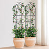 VEVOR Garden Trellis for Climbing Plants, 71 x 20 in, 6 Packs Rustproof Metal Garden Flower Trellis, Outdoor Climbing Rose Trellis Cucumbers Support, Decorative Clematis Trellis for Courtyards Lawns