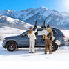 VEVOR Ski & Snowboard Roof Rack, Carry up to 4 Pairs of Skis or 2 Snowboards, 2 PCS Aluminum Universal Car Roof Rack Top Holder with Lock & Rubber Padding, Carrier for Fishing Rod, Fit Most Crossbars