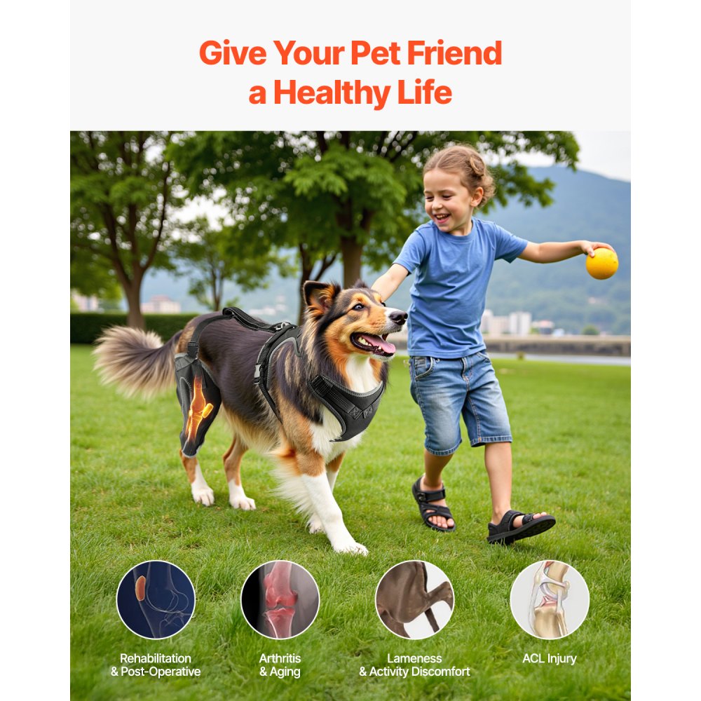 VEVOR Dog Knee Brace for Torn ACL, Dog Leg Brace with Adjustable Hinge Stabilizer, Pet Knee Support Harness for Right Hind Leg, Pain Relief, Reflective Dog Joint Support Brace for Arthritis Recovery