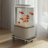 VEVOR Furniture Dolly, 551 lbs Load Capacity, Furniture Moving Dollies with 4 TPR Silent Wheels, Rectangle Multifunctional Flat Dolly for Piano Furniture Couch Washing Machine Fridge, 2 Pack, Black