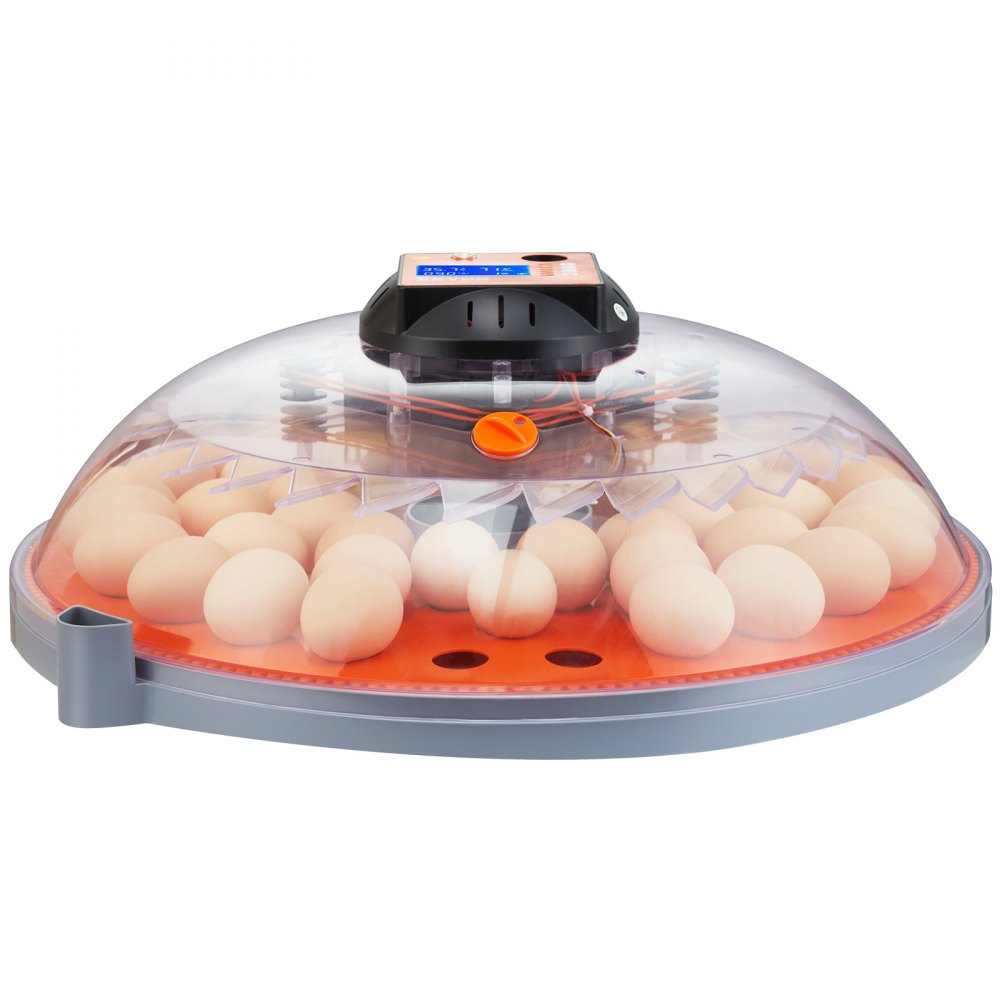 VEVOR 48 Egg Incubator, Incubators for Hatching Eggs, 360° Automatic Egg Turner with Temperature and Humidity Display, 48 Eggs Poultry Hatcher with ABS Transparent Shell for Chicken, Duck, Quail