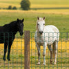 VEVOR Farm Fence, 39 x 984 in, 2 x 4 in Mesh 2.1mm Galvanized Steel Wire Fencing for Cattle, Hog & Sheep, Heavy Duty Vinyl Coated Livestock Fence for Animal Enclosures, Cage Wire, Garden Fences, Green