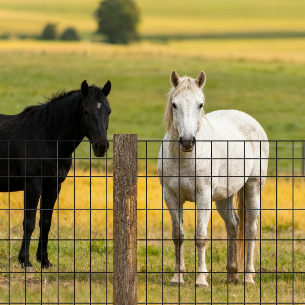 VEVOR Farm Fence,  48 in x 50 ft, 2 x 4 in Mesh 14 Gauge Galvanized Steel Wire Fencing for Cattle, Hog & Sheep , Heavy Duty Vinyl Coated Livestock Fence for Animal Enclosures, Cage Wire, Garden Fences