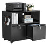 VEVOR 2 Drawers Metal File Cabinet, Lateral Filing Cabinet with Lock and Adjustable Hanging Rods, Wide Filing Storage Cabinets for Home and Office Fit Letter, A4, Legal Size File, Easy Assembly, Black