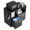 VEVOR 2 Drawers Metal File Cabinet, Lateral Filing Cabinet with Lock and Adjustable Hanging Rods, Wide Filing Storage Cabinets for Home and Office Fit Letter, A4, Legal Size File, Easy Assembly, Black