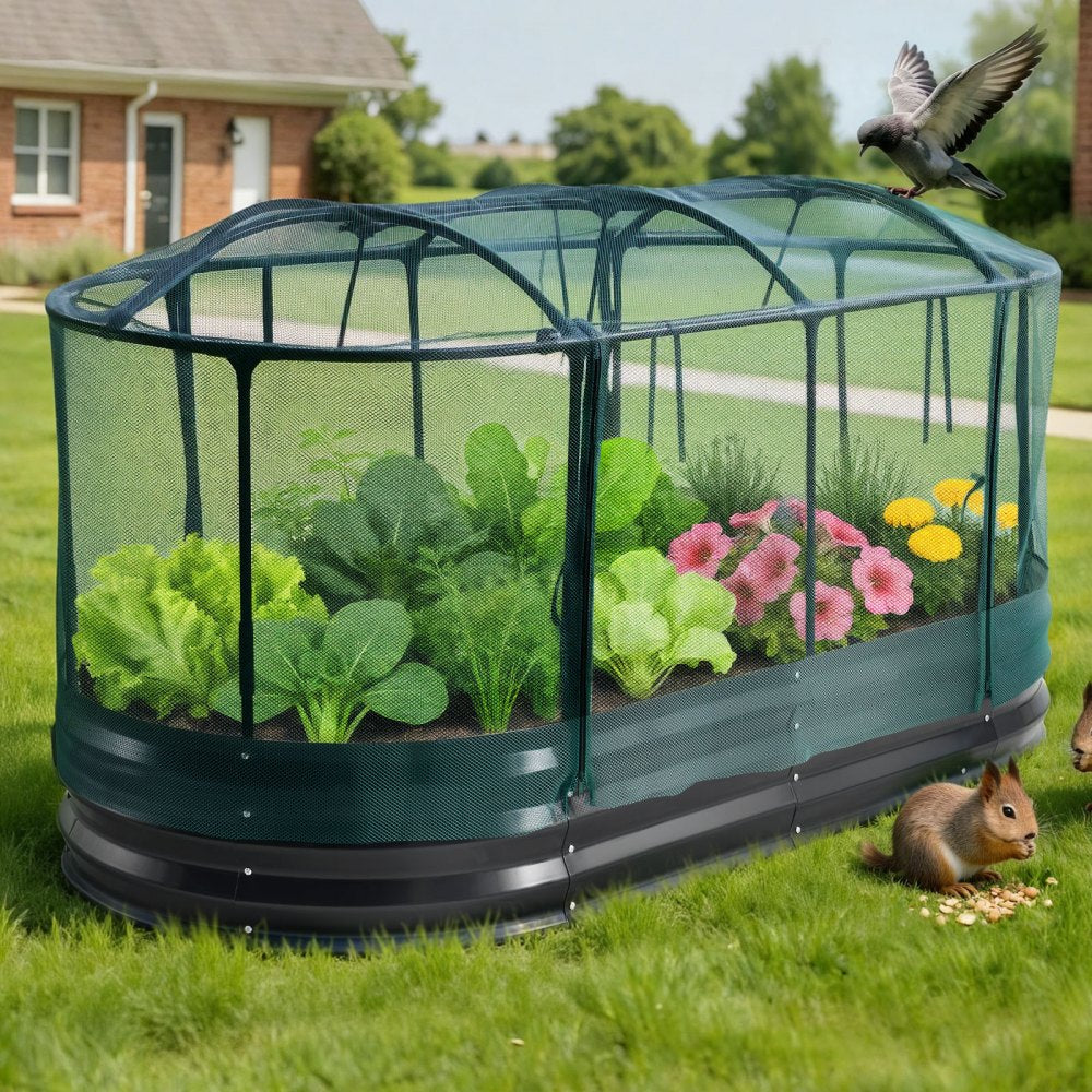 VEVOR Galvanized Raised Garden Bed, 6 x 3 x 1 ft, with Self Watering System and Mesh Cover, Oval Metal Planter Box Kit Outdoor, Rustproof Alu-Zinc, for Planting Flowers Fruits Vegetables, Dark Gray