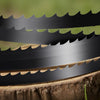 VEVOR Bandsaw Blade, 60 Inch Length, 6 TPI Band Saw Blade with 15 HRC Hardened Sharp Teeth, SK5 High-Strength Carbon Steel, 0.25 Inch Width, Replacement for Major Woodworking Band Saw Brands, 1 Pack