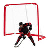 VEVOR Street Hockey Goal, Heavy-Duty Steel Street + Roller Hockey Nets, Durable Hockey Net for Indoor Outdoor Use, Lightweight Portable Training, Easy Assembly for Backyard Park Garage, 55.9 x 44.5 in