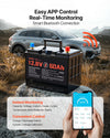 Bluetooth app monitoring and control features