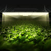 VEVOR LED Growth Illumination, 200W Full Spectrum Adjustable, Efficient Samsung 2B1B Diodes Light for Indoor Seedling, Vegetation and Flowering in Greenhouses, Daisy Chain Compatible for 1.2x2.4/3x3 f
