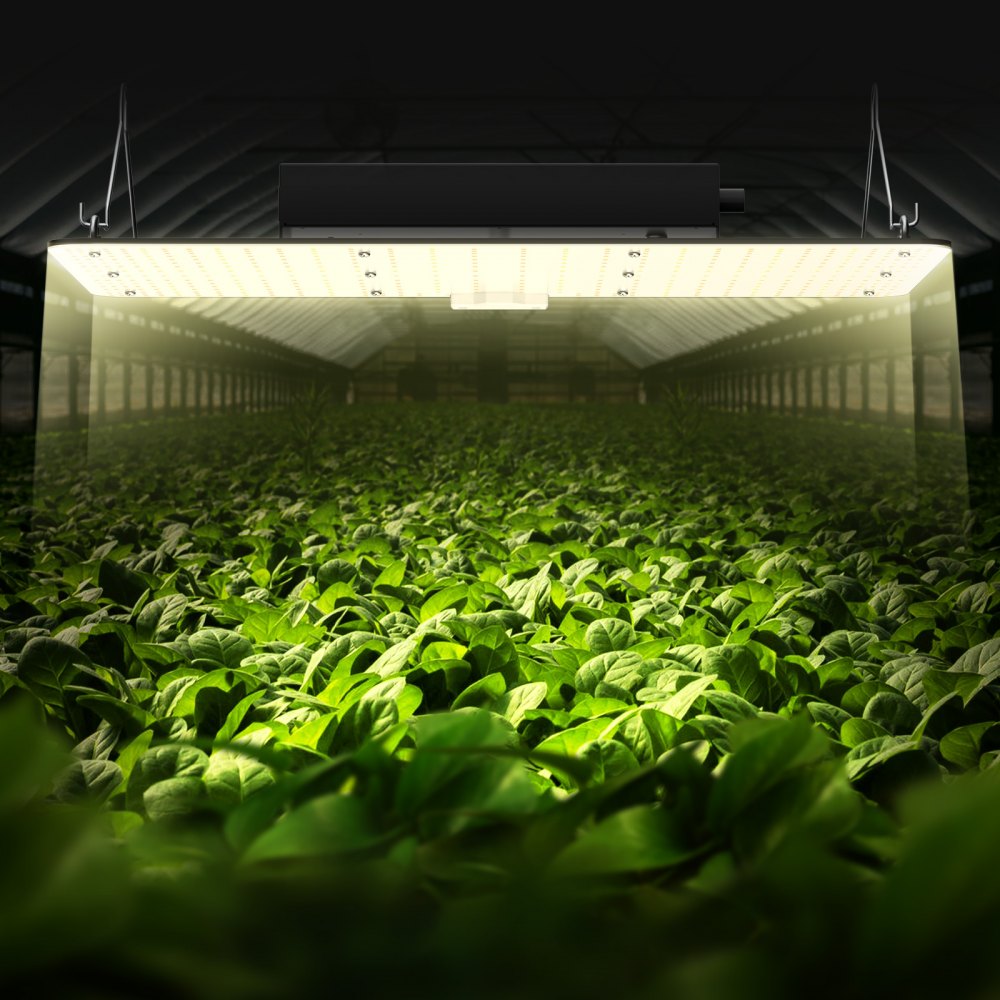 VEVOR LED Growth Illumination, 200W Full Spectrum Adjustable, Efficient Samsung 2B1B Diodes Light for Indoor Seedling, Vegetation and Flowering in Greenhouses, Daisy Chain Compatible for 1.2x2.4/3x3 f