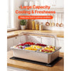 VEVOR Countertop Food Serving Display Container, Stainless Steel Food Salad Server Tray, Buffet Condiment Dispenser, Ice Cooled Rack with Clear Roll Top Cover, for Restaurant Hotel (1x1/3+6x1/9 Pan)