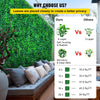 VEVOR Artificial Boxwood Panels, 14 PCS 20\"x20\" Boxwood Hedge Wall Panels, PE Artificial Grass Backdrop Wall 1.6\", Privacy Hedge Screen for Decoration of Outdoor, Indoor, Garden, Fence, and Backyar