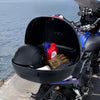 VEVOR Motorcycle Top Case, Universal Durable PP Material Motorbike Tail Box with Reflective Panel, 62L Waterproof Detachable Motorcycle Top Box with Multi-Hole Base, Fit for 99% of Motorcycle Frames