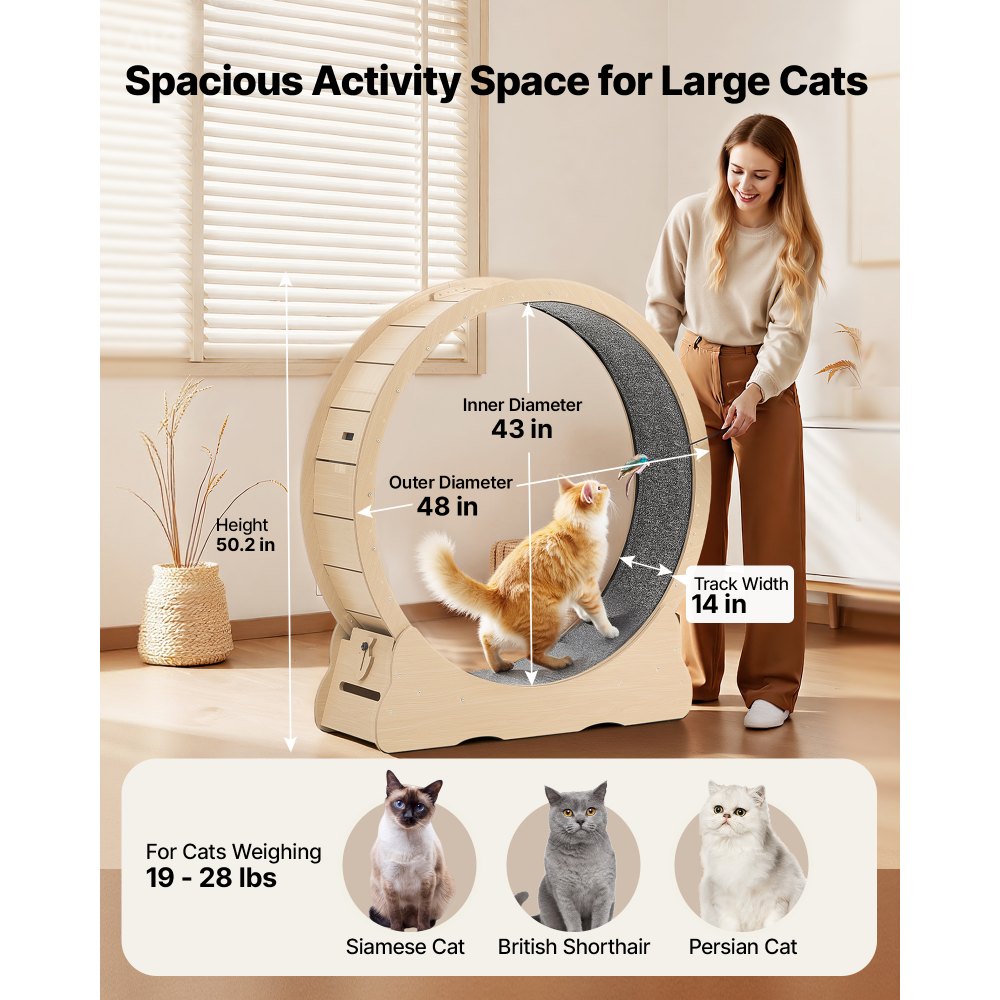 VEVOR Cat Exercise Wheel, 48 in Wooden Cat Running Wheel for Indoor Cats up to 28 lbs, Cats Treadmill with Carpeted Runway & Locking Mechanism, Quiet Roller Kitten Sport Toys for Pets Fitness & Health