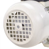 VEVOR DEF Transfer Pump, 8 GPM, Diaphragm Irrigation Self Priming Electric Water Pump for Diesel Exhaust Fluid Automotive Urea Oil, 110V, 220W, 26.25 ft Lift, for Liquid Transportation Refueling