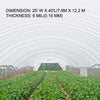 VEVOR Greenhouse Film 25 x 40 ft, Greenhouse Polyethylene Film 6 Mil Thickness, Greenhouse Plastic Greenhouse Clear Plastic Film UV Resistant, Polyethylene Film Keep Warming, Superior Strength