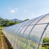 VEVOR Greenhouse Plastic Sheeting 6 x 100 ft 6 Mil Clear Polyethylene Film, for Farms Agriculture Garden Outdoor Plant, Water Sun Frost Wind Dust Resistant, Heavy Duty Thick Winter Hoop House Cover