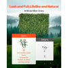 VEVOR Artificial Grass Wall Panels, 40 x 120 inch, Milan Grass Greenery Boxwood Panel for Indoor Outdoor Green Decor & Ivy Fence Covering, Privacy Backdrop Wall Hedge Screen for Garden
