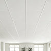 VEVOR 24 x 48 in PVC Ceiling Tiles 10-Pack Drop Ceiling Panels White, PVC Foam Board, Grid Fit, Water-Resistant, Flexible Cut, Easy to Clean, Modern Decorative for Home,Office,Kitchen,Living Room