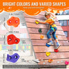 VEVOR 72 Rock Climbing Holds, Multi-Size and Multi-Colored Climbing Rocks for Kids and Adults, Rock Wall Holds with Mounting Hardware, Climbing Wall Grips for Indoor and Outdoor Playground Play Set