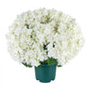VEVOR Artificial Potted Hydrangeas 20 in 2-Pack Fake Flower Plants White, for Porch, Patio, Entryway, & Home Decor, Indoor & Outdoor Use, Silk and PE Blooms in Pots, Ready to Display Faux Plants