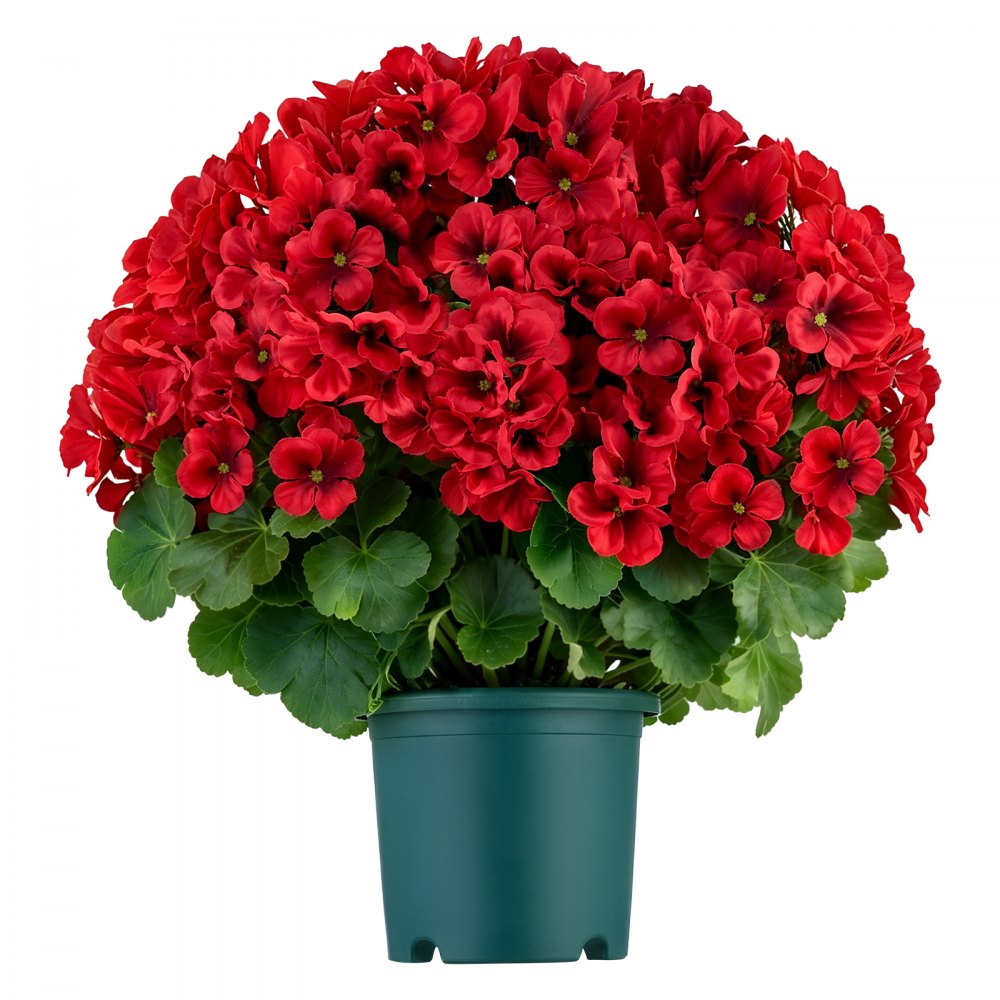 VEVOR Artificial Potted Geraniums 20 in 2-Pack Fake Flower Plants Decor Red, for Porch, Patio, Entryway, & Home Decor, Indoor & Outdoor Use, Silk and PE Blooms in Pots, Ready to Display Faux Plants