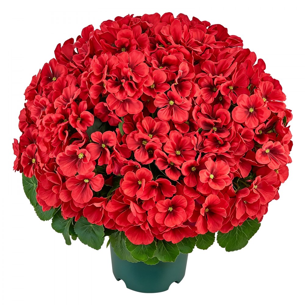 VEVOR Artificial Potted Geraniums 20 in 2-Pack Fake Flower Plants Decor Red, for Porch, Patio, Entryway, & Home Decor, Indoor & Outdoor Use, Silk and PE Blooms in Pots, Ready to Display Faux Plants