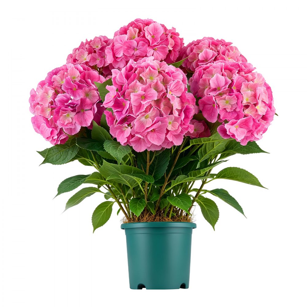 VEVOR Artificial Potted Hydrangeas 28 in 2-Pack Fake Flower Plants Deep Pink, for Porch, Patio, Entryway, & Home Decor, Indoor & Outdoor Use, Silk and PE Blooms in Pots, Ready to Display Faux Plants