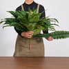 VEVOR Artificial Ferns, 48 Inch Fake Boston Fern Bush Plant with 67 Fronds, Faux Greenery for Indoor/Outdoor Decor, Silk & LDPE, Suitable for Home Porch Garden Office Living Room Planter, Set of 2