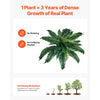 VEVOR Artificial Ferns 2 Pcs, Natural Spread Diameter 31-34 Inch, Large Hanging Artificial Boston Ferns, Fake Plant Wall Decor with 30 Branches, Faux Fern for Home and Office (Flowerpot Unincluded)