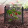 VEVOR 10 Pack Plant Protector from Animals, 12'' x 12''  Chicken Wire Plant Protector, Plant Cages for Outdoor Plants, Flowers & Vegetables, Keeps Bunny Chicken Squirrels Out, 40pcs Metal Mesh