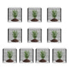 VEVOR 10 Pack Plant Protector from Animals, 12'' x 12''  Chicken Wire Plant Protector, Plant Cages for Outdoor Plants, Flowers & Vegetables, Keeps Bunny Chicken Squirrels Out, 40pcs Metal Mesh
