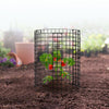 VEVOR 6 Pack Plant Protector from Animals, 12.6'' Dia. x 14'' H Chicken Wire Plant Protector, Plant Cages for Outdoor Plants, Flowers & Vegetables, Keeps Bunny Chicken Squirrels Out, 18pcs Metal Mesh