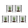 VEVOR 5 Pack Plant Protector from Animals, 15.35'' x 15.35'' Chicken Wire Plant Protector, Plant Cages for Outdoor Plants, Flowers & Vegetables, Keeps Bunny Chicken Squirrels Out, 20pcs Metal Mesh
