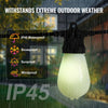 VEVOR RGB Outdoor String Lights, 100FT, Outside Patio Lights with APP Control 30 Bulbs, 15 Single-Color Adjustable Brightness Time Setting, Waterproof Hanging Lights for Halloween Decoration Christmas