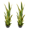 VEVOR Artificial Snake Plant, 3FT 2 PCS in Fake Snake Plants with White Pot, for Home, Garden, Office, Porch, Indoor & Outdoor Decor, Realistic Texture Faux Sansevieria, Premium HDPE, Sun-Resistant