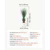 VEVOR Artificial Agave, 48 in Tall Fake Agave Plant with White Pot 1 Pack, Sun-Resistant for Home, Garden, Office, Store, Living Room, Porch, Indoor & Outdoor Decor, Realistic Texture Faux Decor Plant